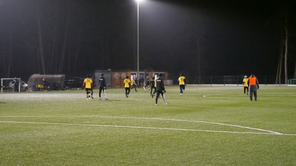 sep-ruch-ryki-2025-02-09-fot-02.jpg