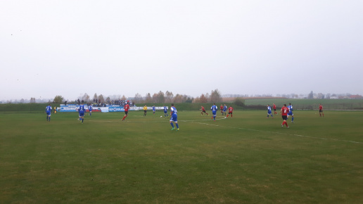 Sęp - Wilga Miastków 2017.10.21, fot. 07