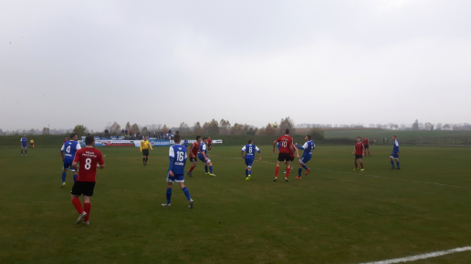 Sęp - Wilga Miastków 2017.10.21, fot. 16