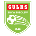 Zryw Sobolew