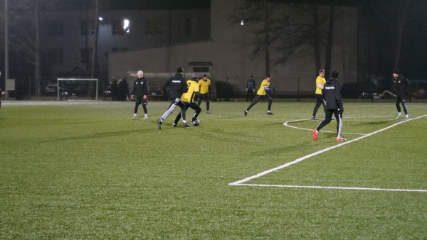 sep-ruch-ryki-2025-02-09-fot-37.jpg