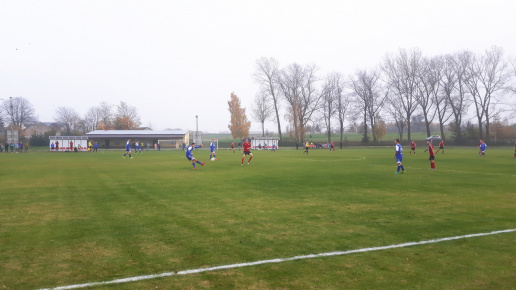 Sęp - Wilga Miastków 2017.10.21, fot. 47