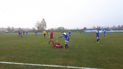 Sęp - Wilga Miastków 2017.10.21, fot. 56