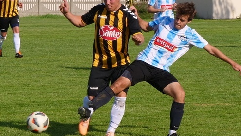 zryw-sobolew-sep-2023-09-03-39-495x694.jpg