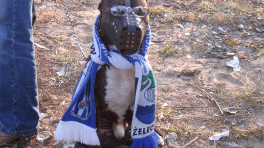 Sęp Żelechów - Sadownik Błędów 2005.10.09 (fotografia nr 11)