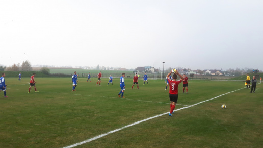 Sęp - Wilga Miastków 2017.10.21, fot. 22