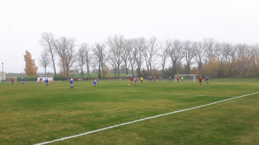 Sęp - Wilga Miastków 2017.10.21, fot. 36