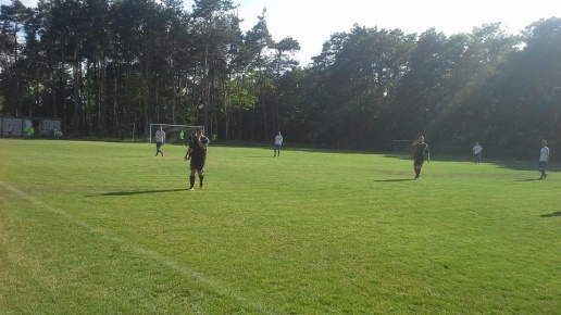 ULKS Gołąbek - Sęp, 2017.06.15 fot. 05