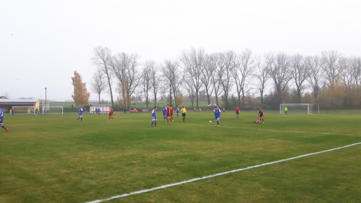 Sęp - Wilga Miastków 2017.10.21, fot. 45