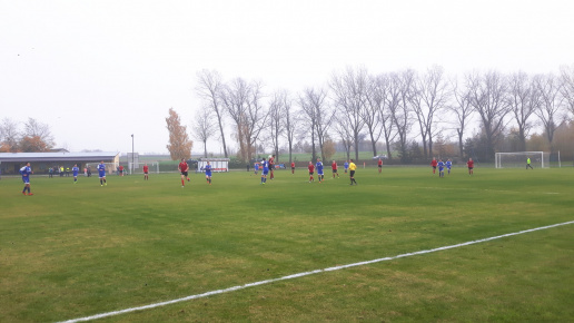 Sęp - Wilga Miastków 2017.10.21, fot. 52