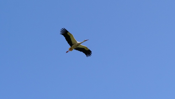hutnik-huta-czechy-sep-2025-06-14-fot-25.jpg