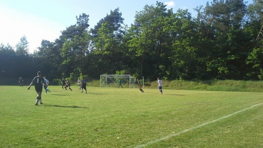 ULKS Gołąbek - Sęp, 2017.06.15 fot. 10