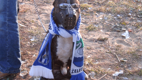 Sęp Żelechów - Sadownik Błędów 2005.10.09 (fotografia nr 11)