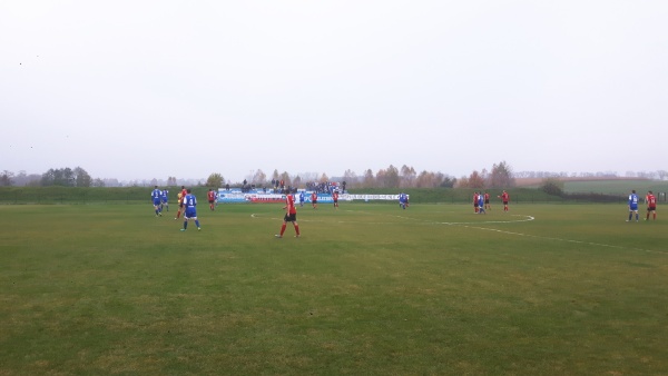 Sęp - Wilga Miastków 2017.10.21, fot. 09