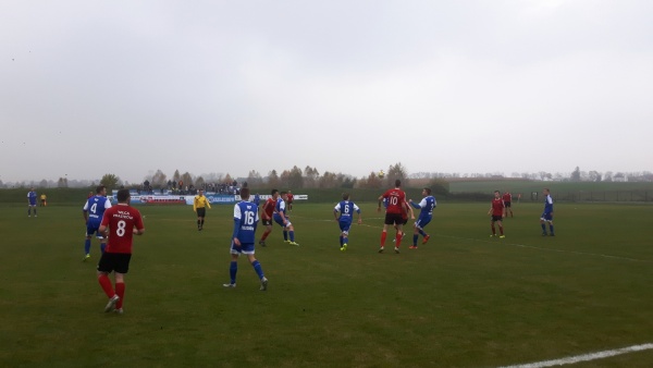 Sęp - Wilga Miastków 2017.10.21, fot. 16