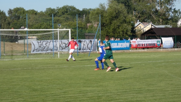 sep-tecza-stanislawow-2020-08-16-fot-024.jpg