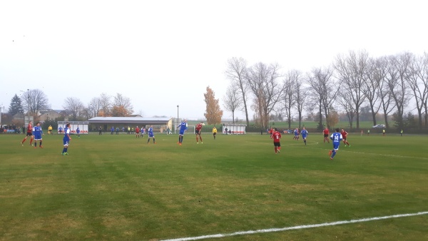 Sęp - Wilga Miastków 2017.10.21, fot. 42