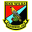 Wilga Garwolin Oldboys